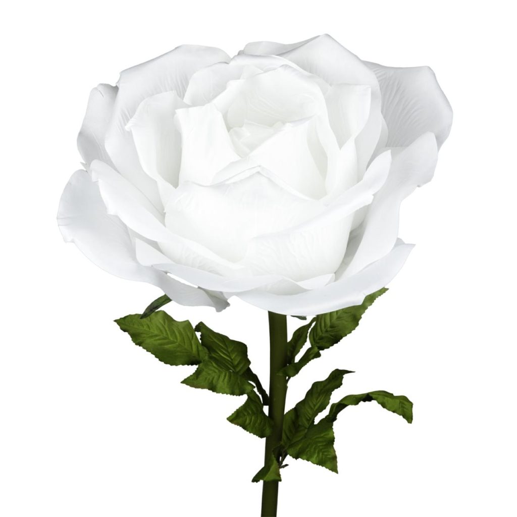 ROSA DIAM 37 CM - STELO CM 100