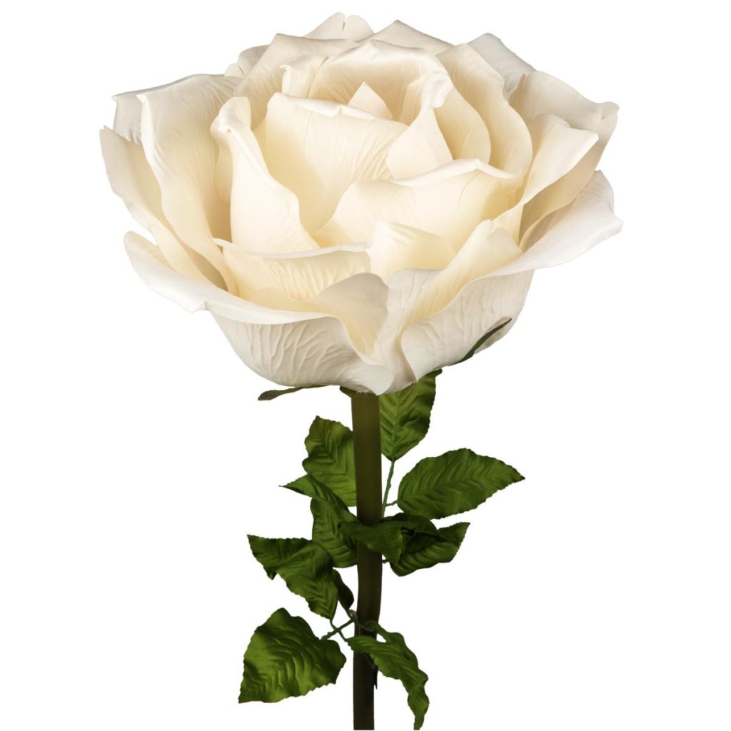 ROSA DIAM. 75 CM - STELO CM 130