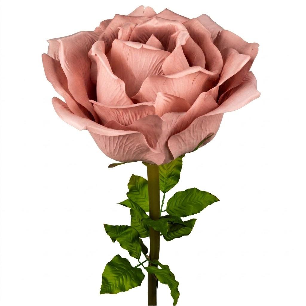 ROSA BIG MIS 100 X 100 X 200