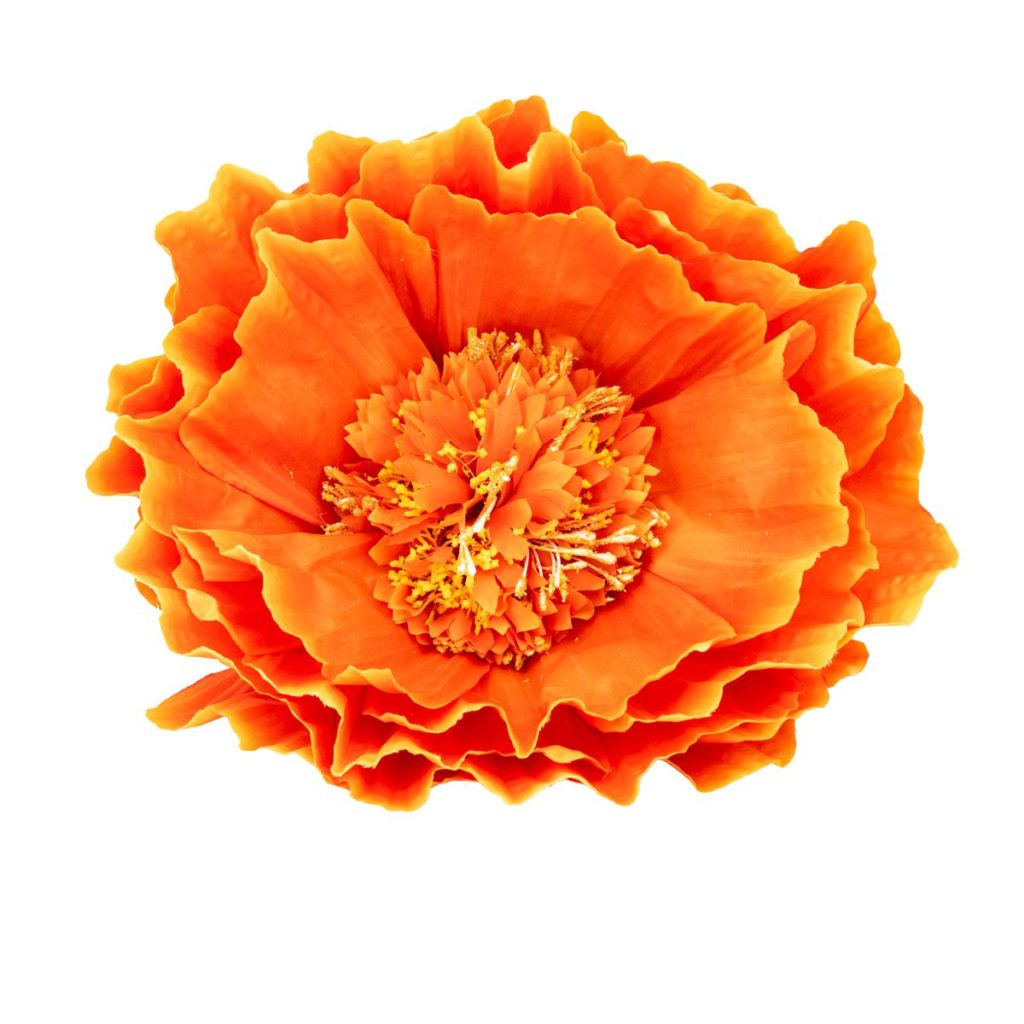 PEONIA PICCOLO MIS. 40 X 40 X 110