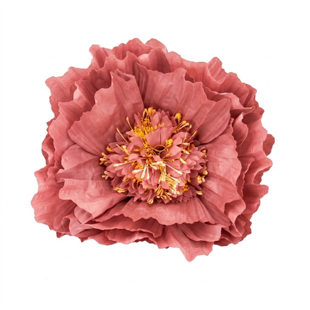 PEONIA PICCOLO MIS. 40 X 40 X 110
