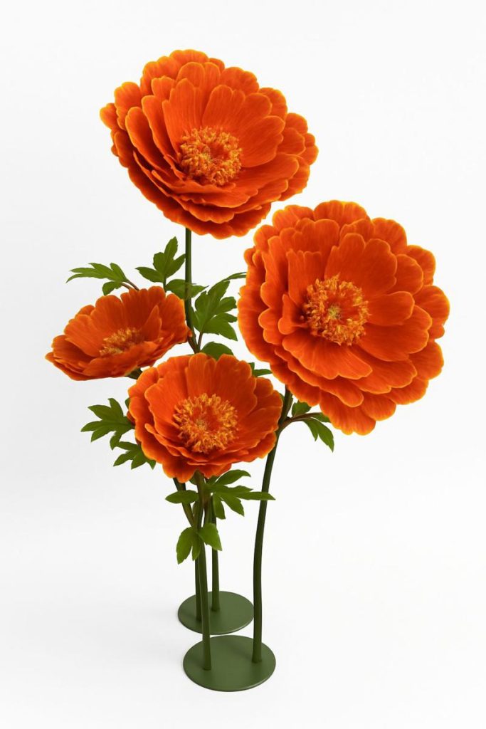 PEONIA MEDIA MIS. 50 X 50 X 130