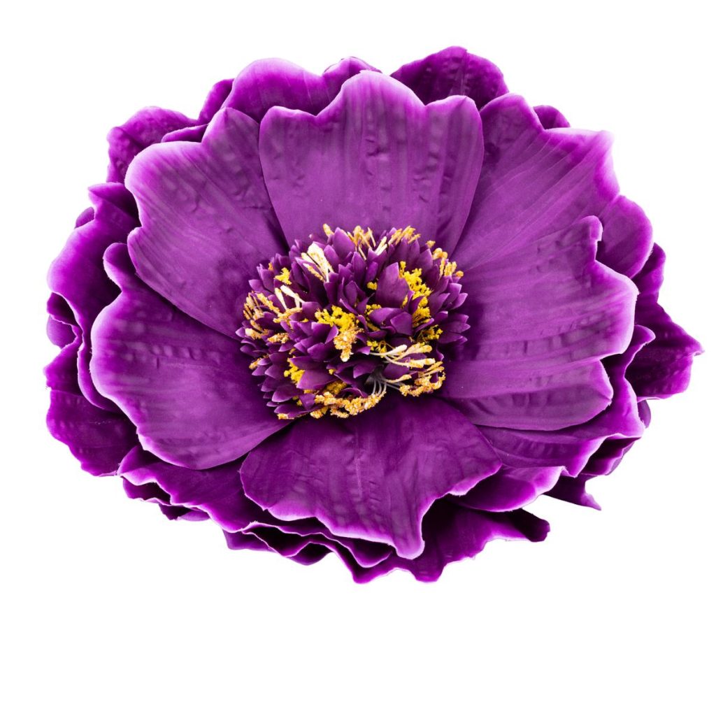 PEONIA MEDIA MIS. 50 X 50 X 130