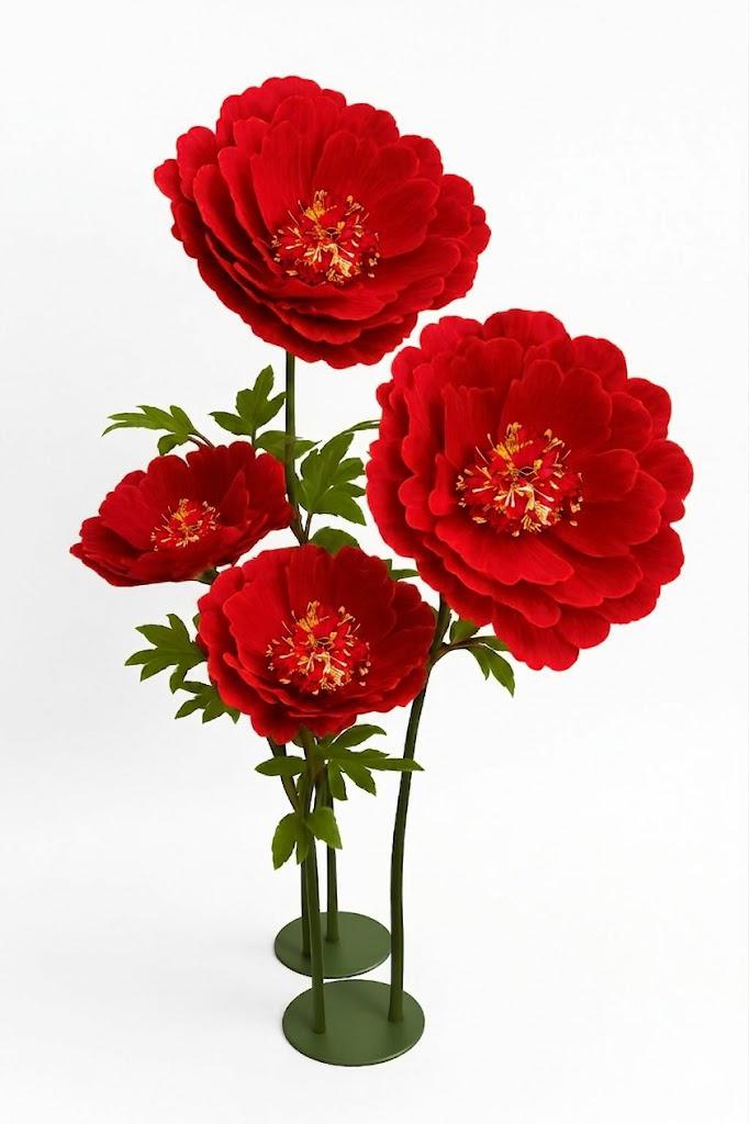 PEONIA GRANDE MIS. 60 X 60 X 150