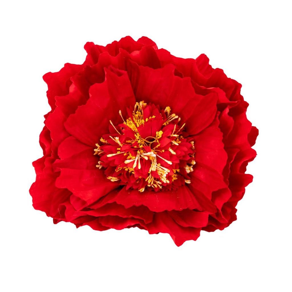 PEONIA GRANDE MIS. 60 X 60 X 150