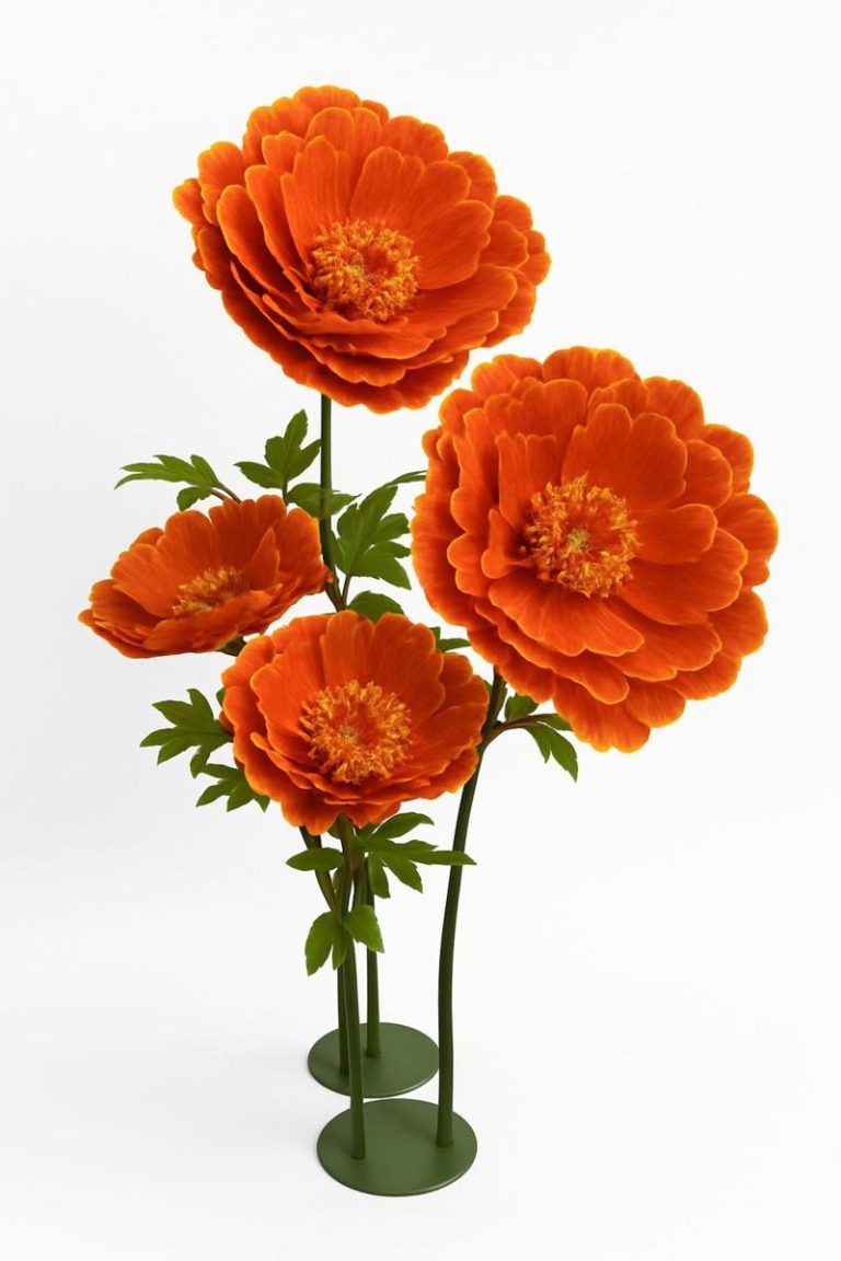 PEONIA BIG MIS. 70 X 70 X 170