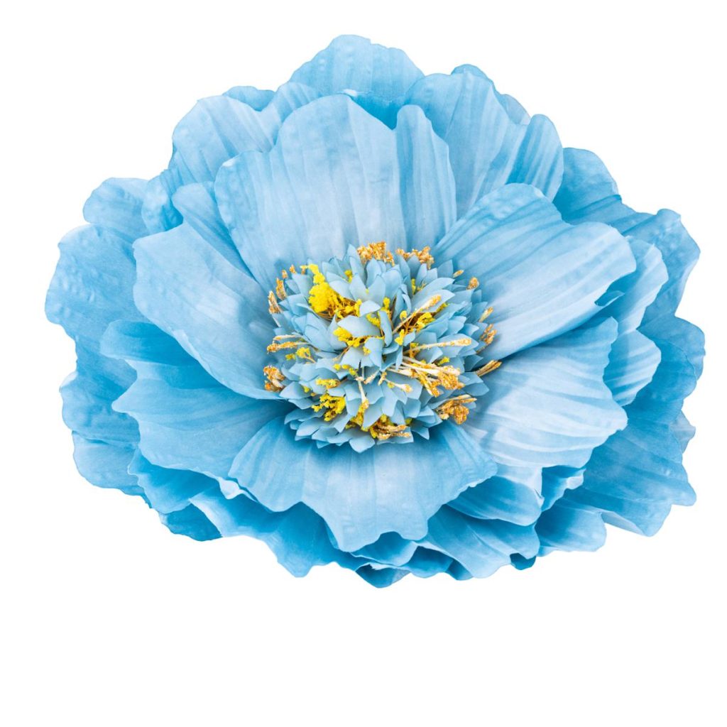 PEONIA BIG MIS. 70 X 70 X 170