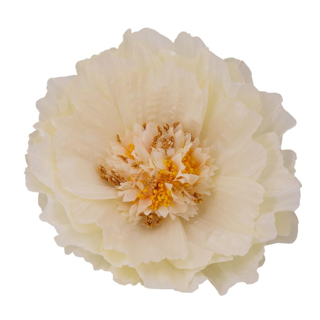 PEONIA BIG MIS. 70 X 70 X 170