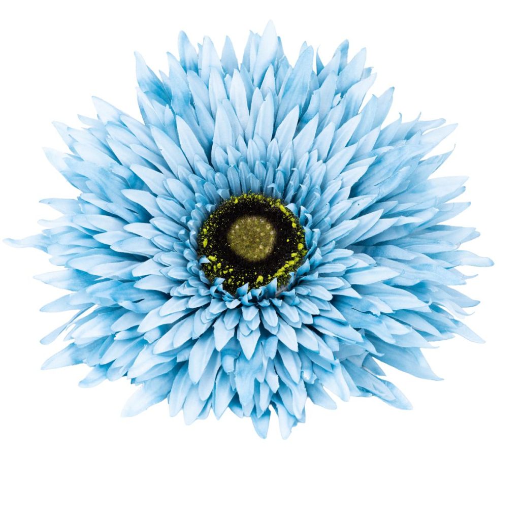 GERBERA MEDIA MIS. 40 X 40 X 125
