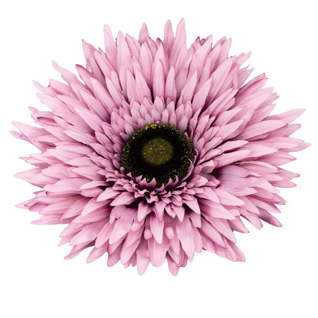 GERBERA MEDIA MIS. 40 X 40 X 125