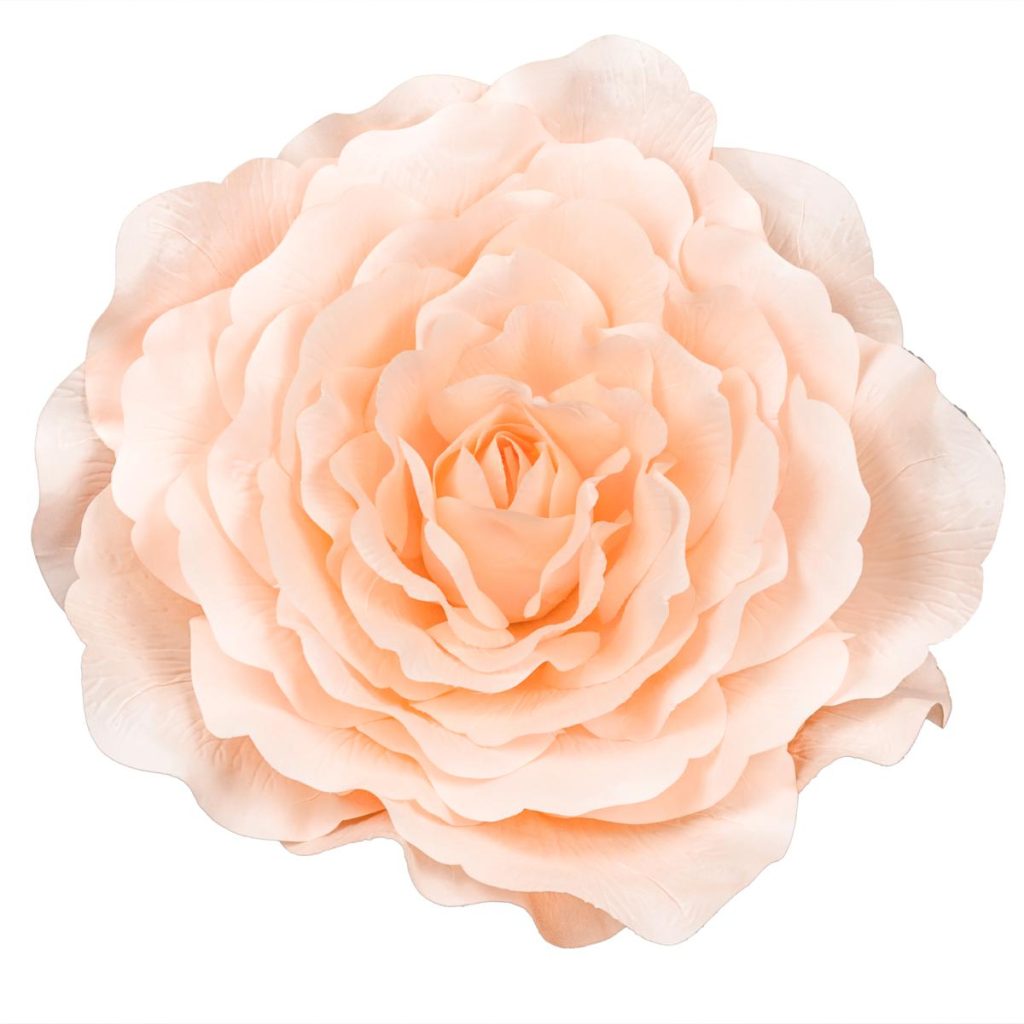 CAMELIA DIAM. 70 CM