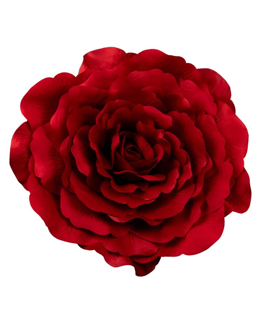 CAMELIA DIAM. 70 CM