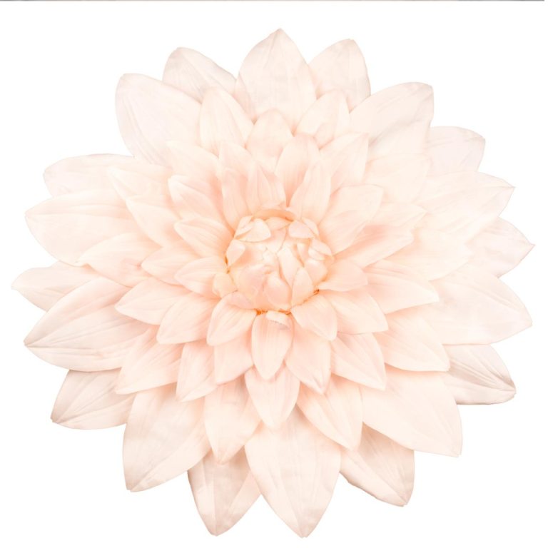 DALIA DIAM. 50 CM